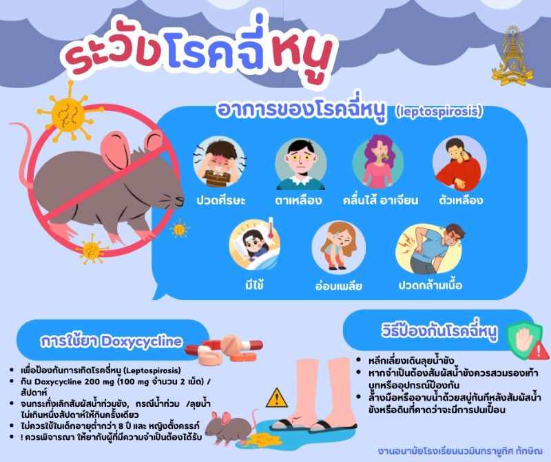 ระวัง! โรคฉี่หนู